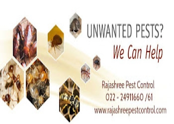 Rajashree-pest-control-Pest-control-services-Mulund-mumbai-Maharashtra-1