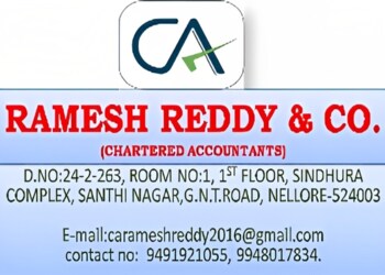Ramesh-reddy-co-Chartered-accountants-Nellore-Andhra-pradesh-1