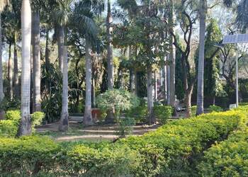 Rampuri-camp-park-and-garden-Public-parks-Amravati-Maharashtra-3