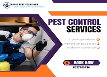 Rapid-pest-solutions-Pest-control-services-Sector-31-gurugram-Haryana-2