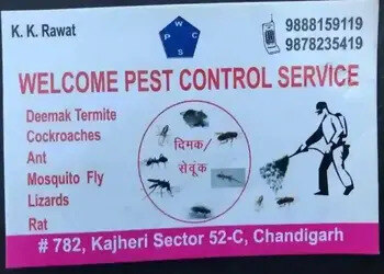 Rawat-pest-control-service-Pest-control-services-Sector-61-chandigarh-Chandigarh-1