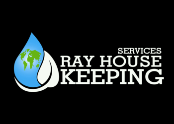 Rays-deep-cleaning-and-sanitization-service-Cleaning-services-Lucknow-Uttar-pradesh-1