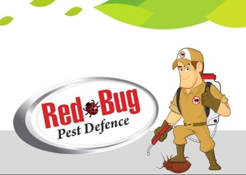 Red-bug-pest-defence-Pest-control-services-Rajkot-Gujarat-1