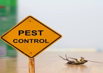 Regent-pest-control-Pest-control-services-Gwalior-Madhya-pradesh-1