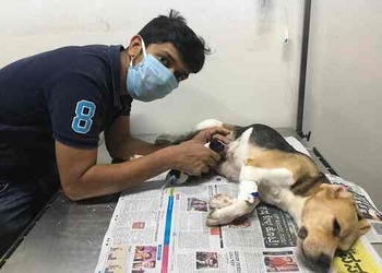 Renee-vet-hospital-Veterinary-hospitals-Bangalore-Karnataka-3