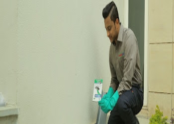 Rentokil-pci-pest-control-service-Pest-control-services-Gandhi-nagar-vellore-Tamil-nadu-2