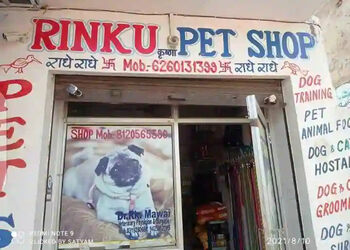 Rinku-pet-shop-Pet-stores-Gwalior-Madhya-pradesh-1
