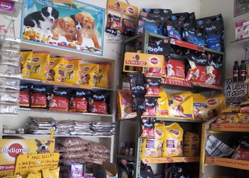 Rj-19-pet-shop-Pet-stores-Jodhpur-Rajasthan-2