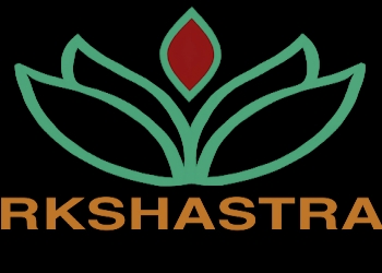 Rkshastra-Numerologists-Koregaon-park-pune-Maharashtra-1