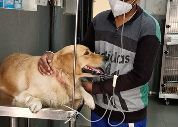 Rmv-multi-speciality-veterinary-clinic-Veterinary-hospitals-Bangalore-Karnataka-3