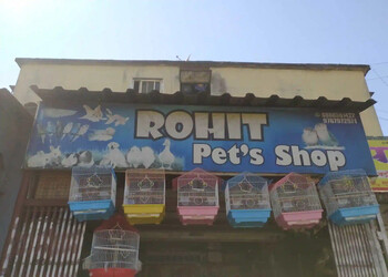 Rohit-pets-shop-Pet-stores-Pimpri-chinchwad-Maharashtra-1