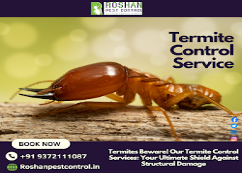Roshan-pest-control-services-Pest-control-services-Kandivali-mumbai-Maharashtra-2