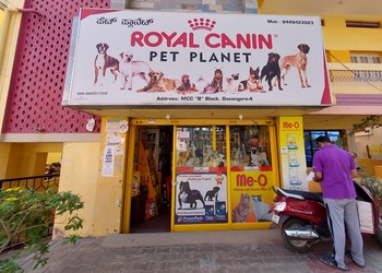 Royal-canin-pet-planet-Pet-stores-Davanagere-Karnataka-1