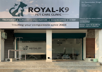 Royal-k9-pet-clinic-Veterinary-hospitals-Chandigarh-Chandigarh-2