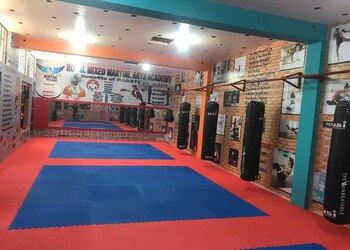 Royal-mixed-martial-arts-academy-Martial-arts-school-Jalandhar-Punjab-3