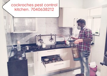 Royal-pest-control-service-Pest-control-services-Pune-Maharashtra-2