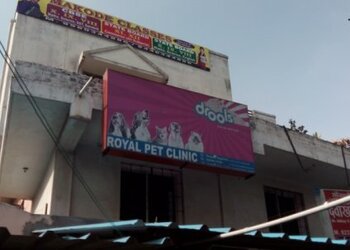 Royal-pet-clinic-Veterinary-hospitals-Nagpur-Maharashtra-1