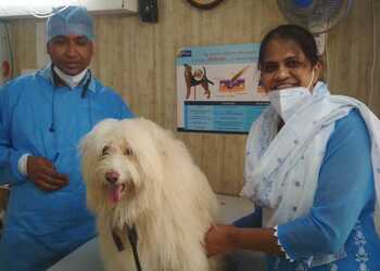 Royal-pet-clinic-Veterinary-hospitals-Nagpur-Maharashtra-2