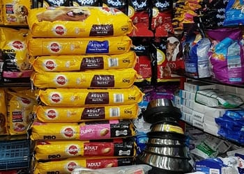 Royal-pet-world-Pet-stores-Sadashiv-nagar-belgaum-belagavi-Karnataka-3
