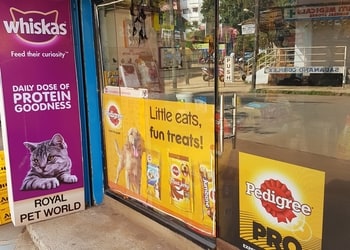 Royal-pet-world-Pet-stores-Shivaji-nagar-belgaum-belagavi-Karnataka-1