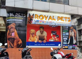 Royal-pets-Pet-stores-Lalpur-ranchi-Jharkhand-1