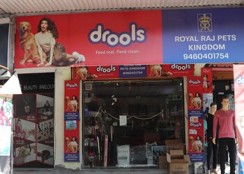 Royal-raj-pets-kingdom-Pet-stores-Udaipur-Rajasthan-1
