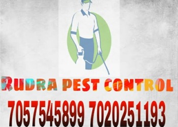 Rudra-pest-control-Pest-control-services-Kurduwadi-solapur-Maharashtra-1