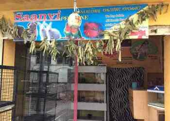 Saanvi-pet-zone-Pet-stores-Secunderabad-Telangana-1