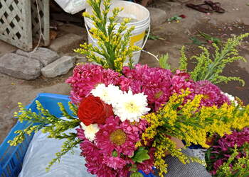 Saavata-mali-flower-merchant-Flower-shops-Pimpri-chinchwad-Maharashtra-3