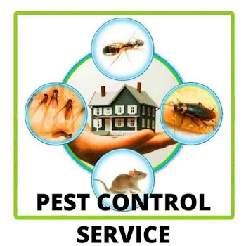 Saee-herbal-pest-control-Pest-control-services-Baner-pune-Maharashtra-1