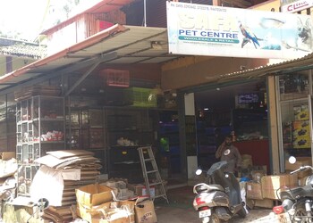 Safa-pet-centre-Pet-stores-Kozhikode-Kerala-1