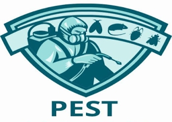 Sahara-pest-control-vijayawada-Pest-control-services-Benz-circle-vijayawada-Andhra-pradesh-1