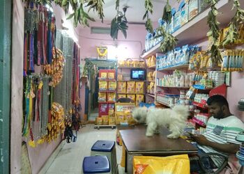 Sai-happy-kennel-pet-zone-Pet-stores-Rajahmundry-rajamahendravaram-Andhra-pradesh-2