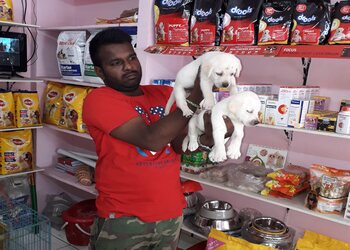 Sai-happy-kennel-pet-zone-Pet-stores-Rajahmundry-rajamahendravaram-Andhra-pradesh-3