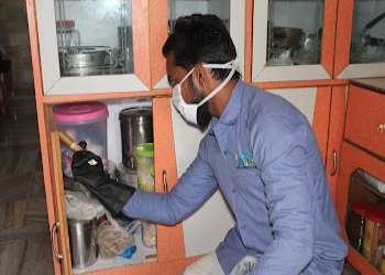 Sai-jyot-pest-control-service-nalasopara-Pest-control-services-Vasai-virar-Maharashtra-2