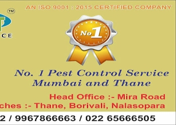 Sai-jyot-pest-control-service-Pest-control-services-Padgha-bhiwandi-Maharashtra-1