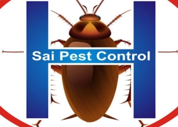 Sai-pest-control-services-Pest-control-services-Marathahalli-bangalore-Karnataka-1