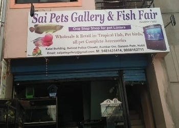 Sai-pets-gallery-Pet-stores-Keshwapur-hubballi-dharwad-Karnataka-1
