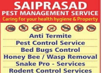 Saiprasad-pest-management-service-Pest-control-services-Chennai-Tamil-nadu-1