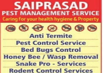 Saiprasad-pest-management-service-Pest-control-services-Velachery-chennai-Tamil-nadu-1