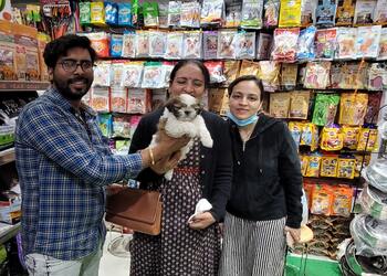 Samaria-pet-shop-Pet-stores-Nehru-place-delhi-Delhi-3