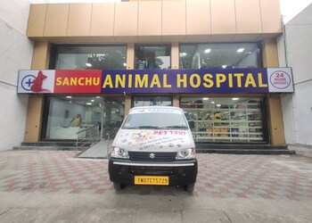 Sanchu-animal-hospital-Veterinary-hospitals-Adyar-chennai-Tamil-nadu-1