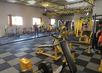 Sandys-gym-Gym-Korba-Chhattisgarh-1