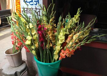 Sanjay-flower-shop-Flower-shops-Bhagalpur-Bihar-3