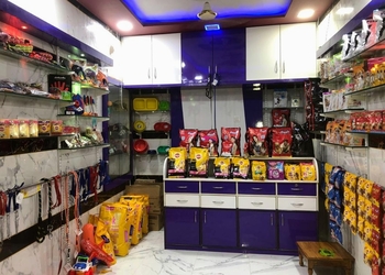 Saransh-pet-gallery-Pet-stores-Nanded-Maharashtra-2