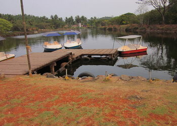 Sarovaram-biopark-Public-parks-Kozhikode-Kerala-3