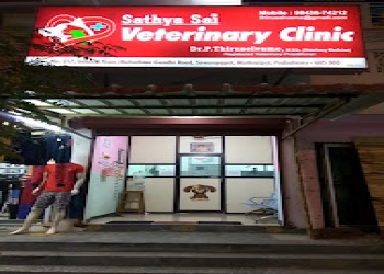 Sathya-sai-veterinary-clinic-Veterinary-hospitals-Pondicherry-Puducherry-2