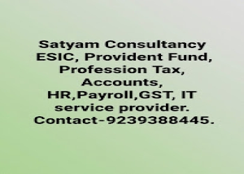 Satyam-consultancy-Tax-consultant-Baranagar-kolkata-West-bengal-2