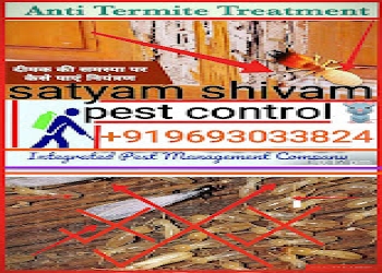 Satyam-shivam-pest-control-services-Pest-control-services-Patna-Bihar-1