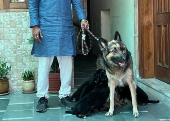 Saurabh-dog-kennel-Pet-stores-Varanasi-Uttar-pradesh-2